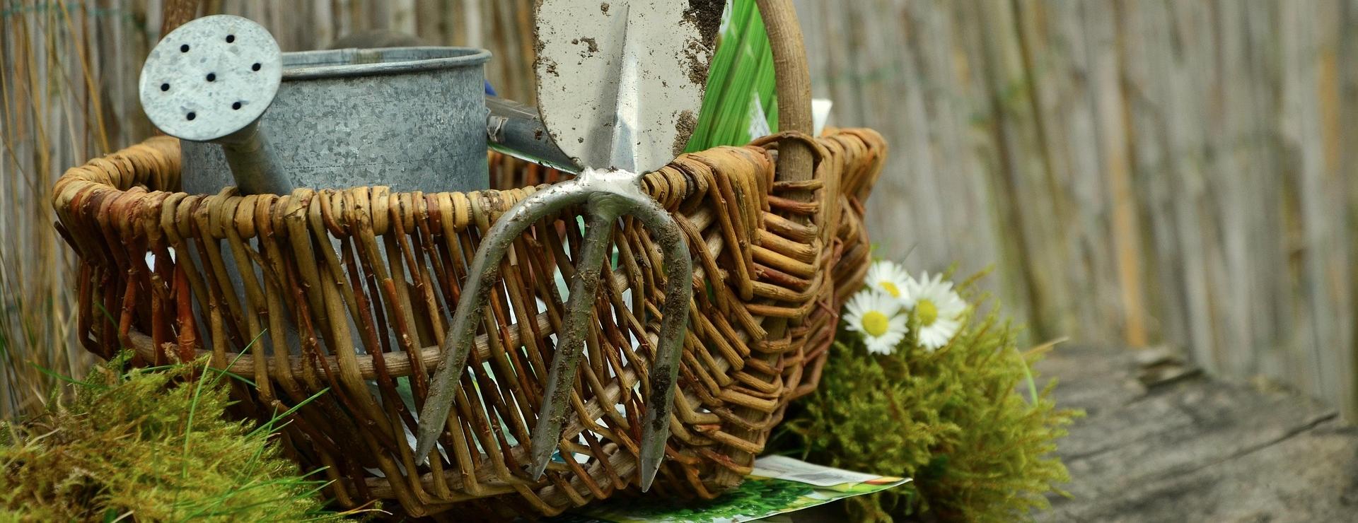 Magasin D'Outils De Jardin Élégant -Magasin D'Outils De Jardin Élégant garden 1290908 1920