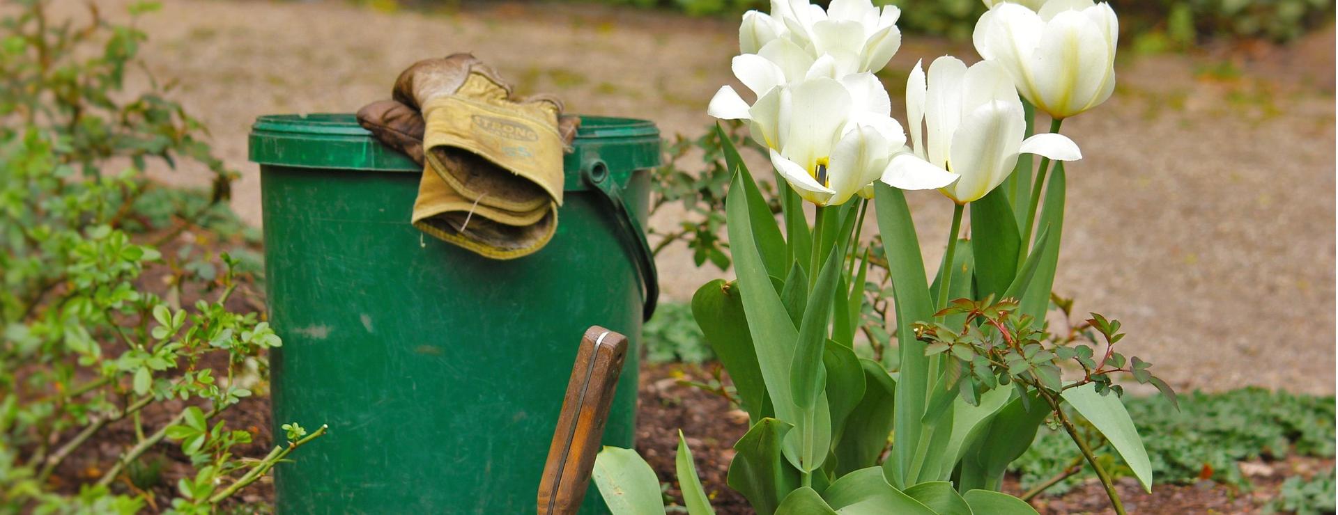 Magasin D'Outils De Jardin Élégant -Magasin D'Outils De Jardin Élégant garden 2218786 1920